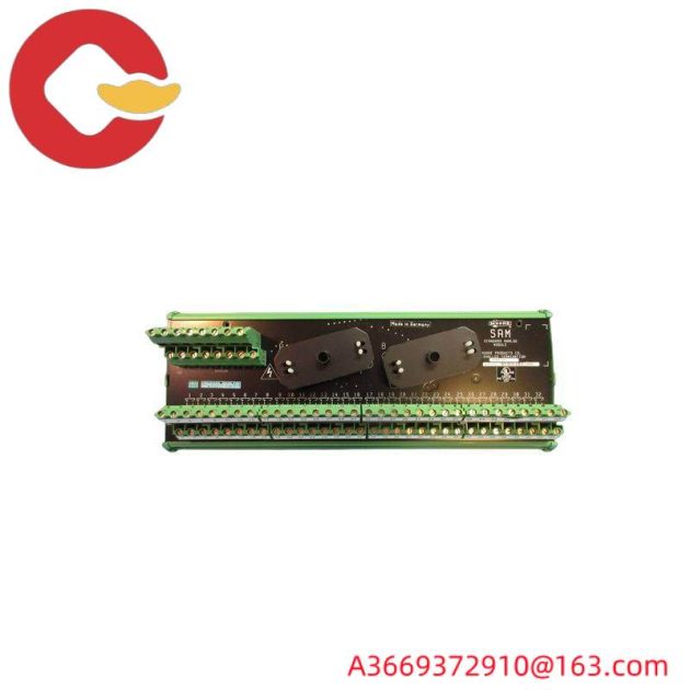 SIEMENS 16169-1-07 Analog Input Module