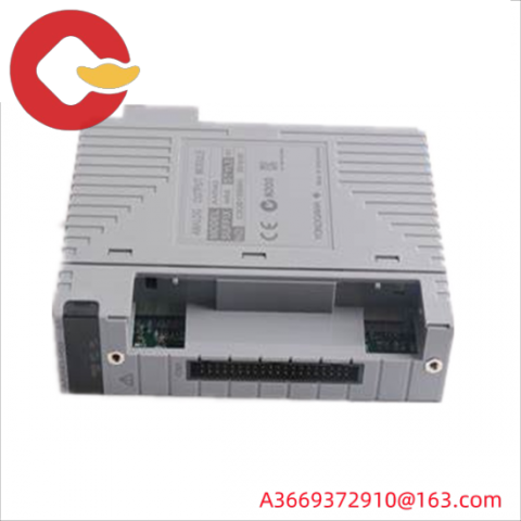 Yokogawa AAI543-H53 S1 Analog Input/Output Module